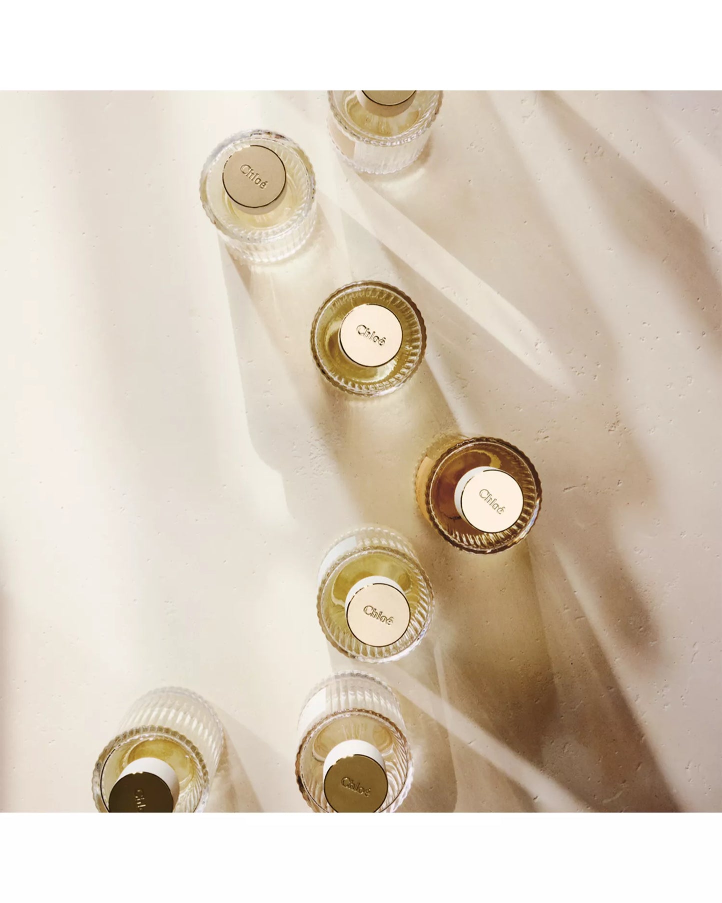 Chloé Atelier des Fleurs Cedrus Eau de Parfum