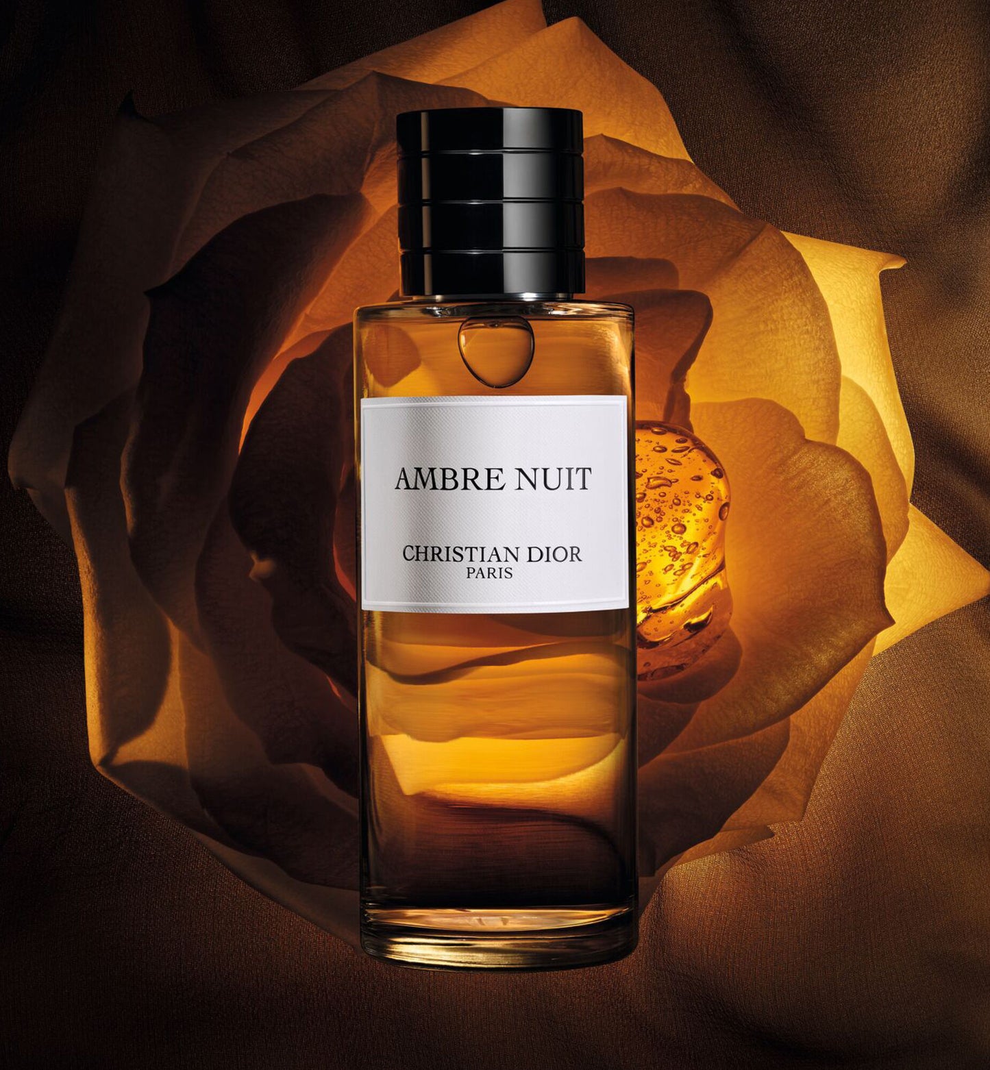 Ambre Nuit